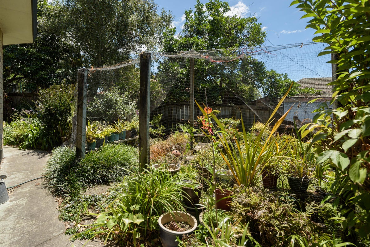 28A Beatty Avenue, Te Puke, Te Puke - Carousel 17
