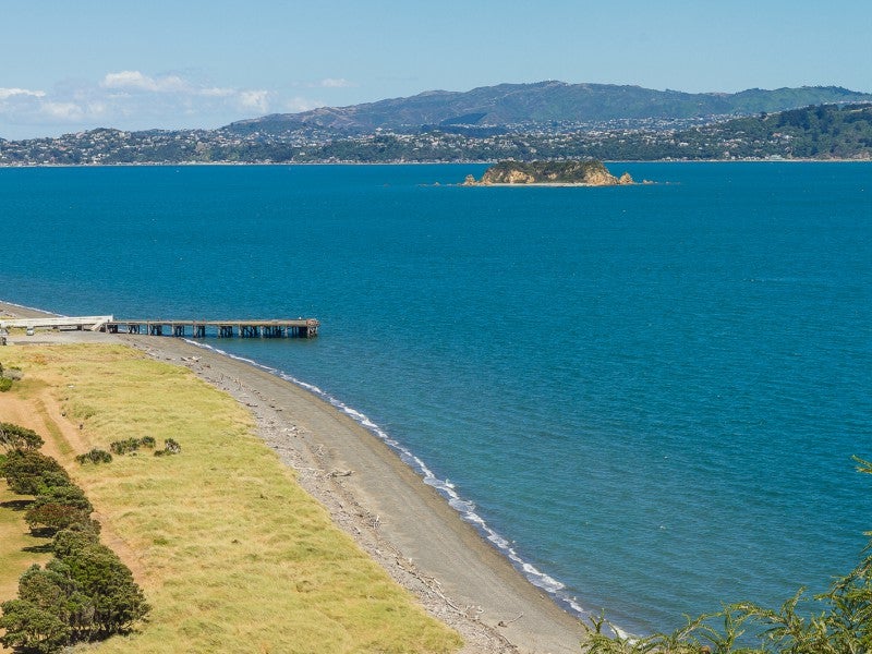 1 Orihau Terrace, Eastbourne, Lower Hutt - Carousel 1