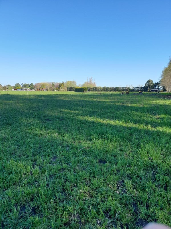 148 Butchers Road, Clarkville, Kaiapoi - Carousel 21