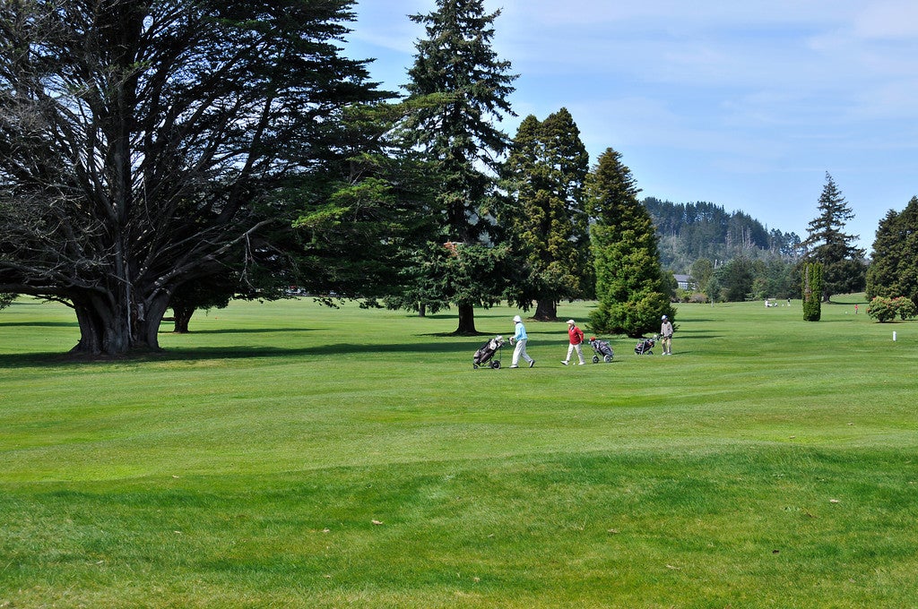 14 Gwendoline Street, Glenholme, Rotorua - Carousel 2