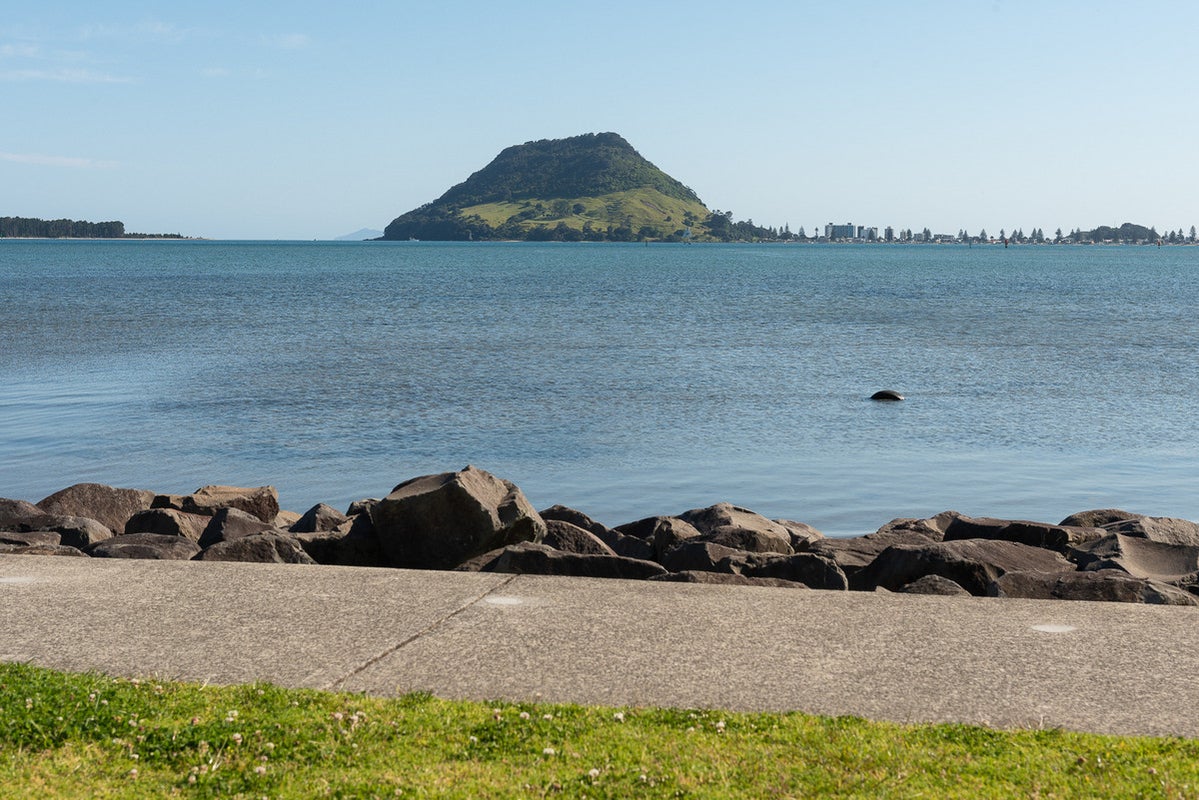 64 Harbour Drive, Otumoetai, Tauranga - Carousel 11