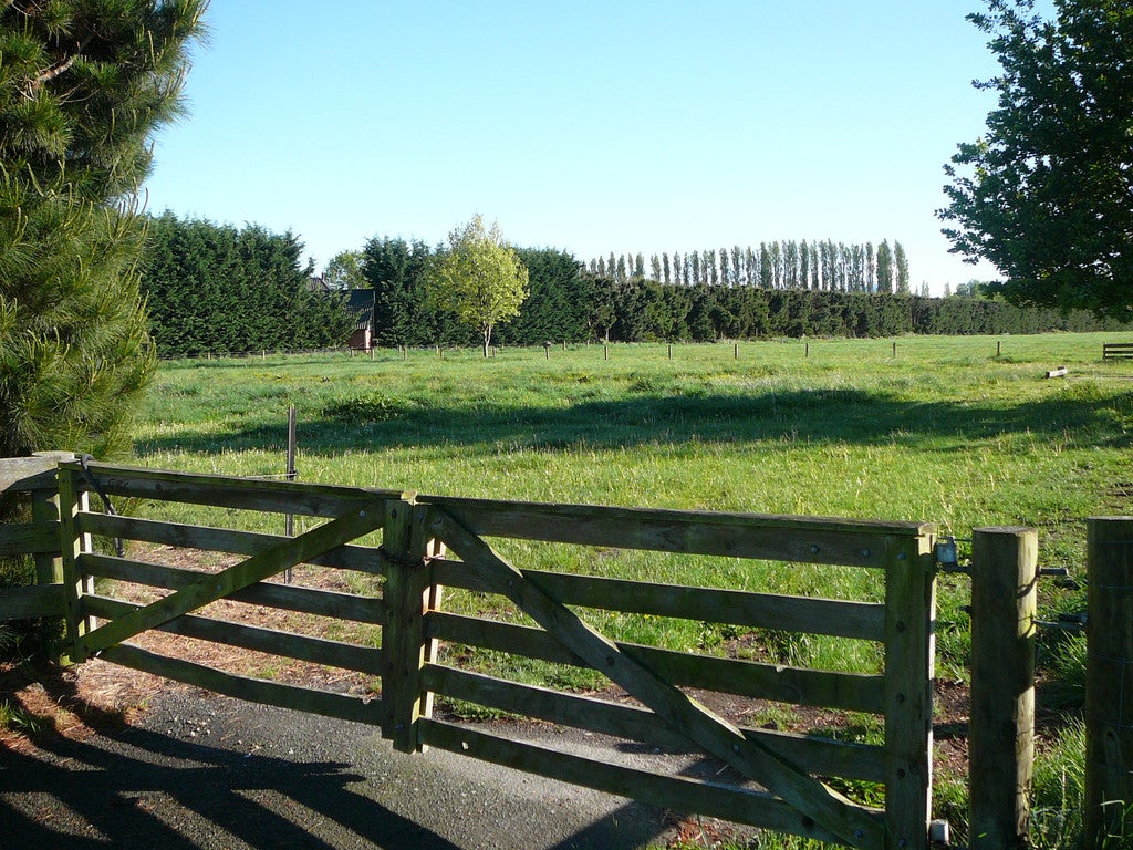586 Mount Thomas Road, Fernside, Rangiora - Carousel 2