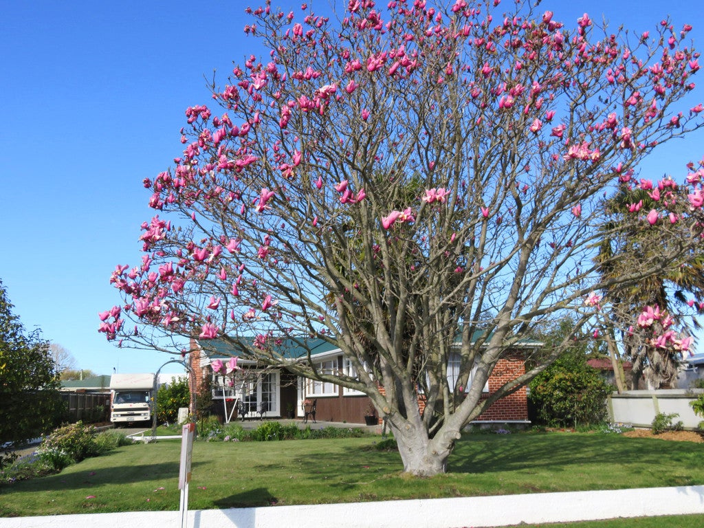40 Hayhurst Street, Temuka, Temuka - Carousel 18