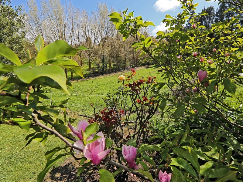 53 Longview Road, Poraiti, Napier - Carousel 26