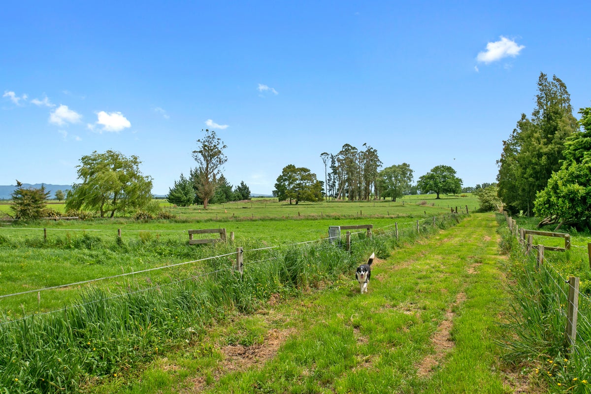 3111 Cambridge Road, Rotoorangi, Cambridge - Carousel 2