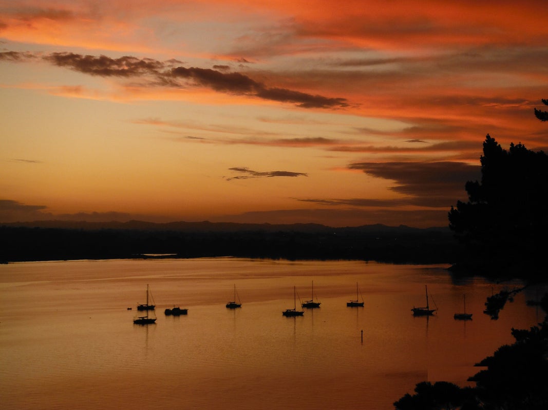 15 Austin Road, Greenhithe, Auckland - Carousel 20