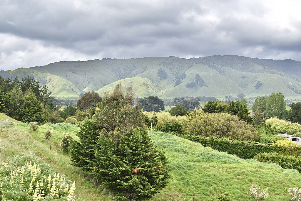 180 Te Horo Beach Road, Te Horo - Carousel 2