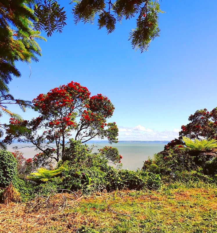 50 Cliff View Drive, Green Bay, Auckland - Carousel 20