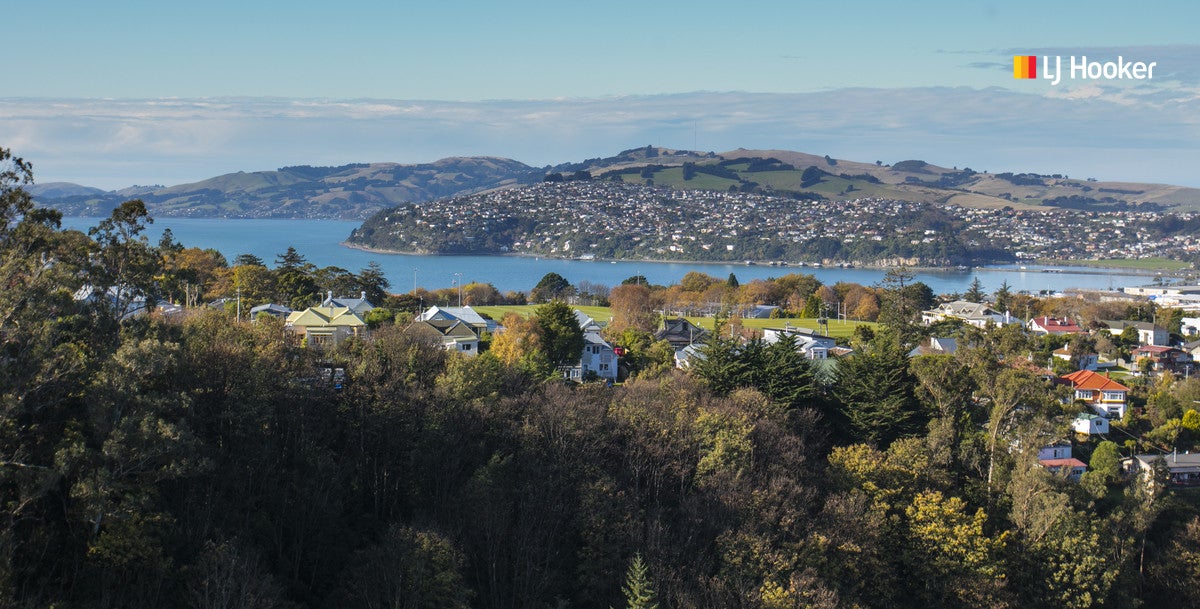 12 Cross Street, Mornington, Dunedin - Carousel 2