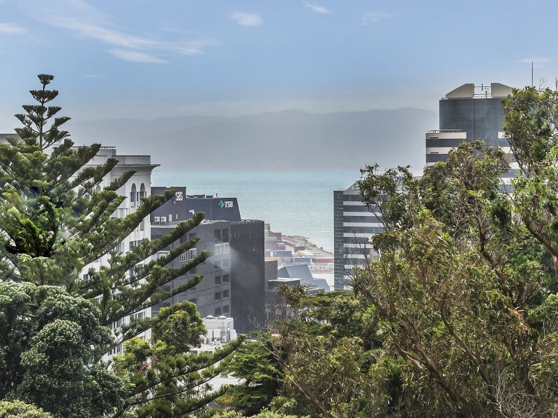 3/1 Wesley Road, Kelburn, Wellington - Carousel 2