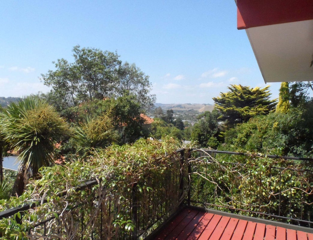 1B Virginia Road, Saint Johns Hill, Whanganui - Carousel 2