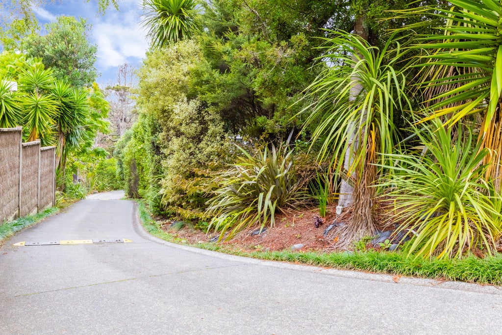 20E Konini Road, Titirangi, Auckland - Carousel 19