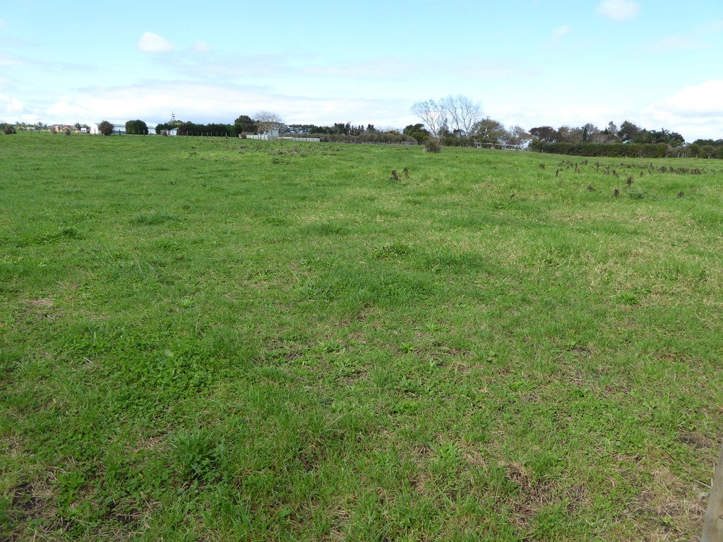 396 Waiau Pa Road, Waiau Pa, Pukekohe - Carousel 2