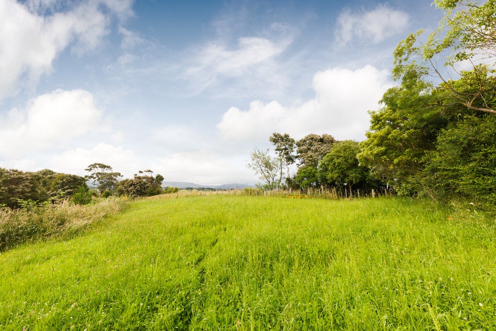 2 Three Paddock Lane, Fitzherbert, Palmerston North - Carousel 10