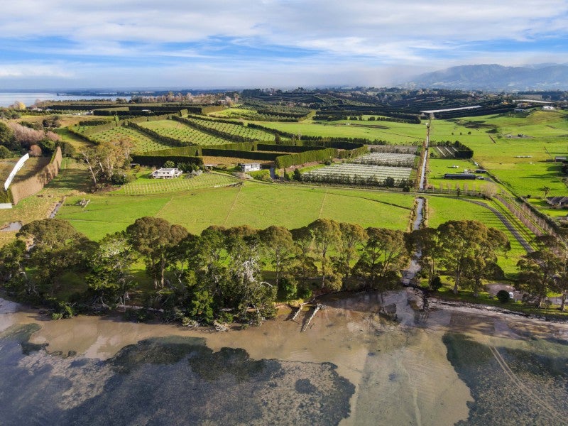 50A Esplanade Road, Tahawai, Katikati - Carousel 5