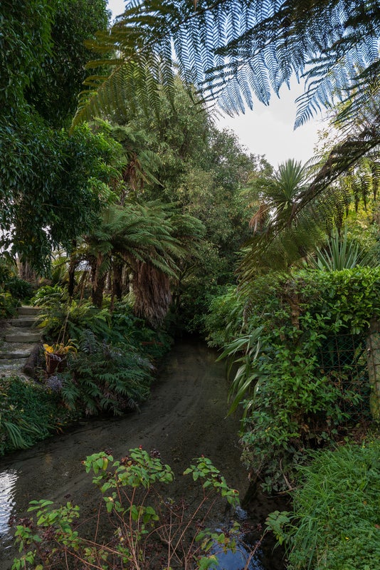 12 Amokura Street, Fairy Springs, Rotorua - Carousel 19