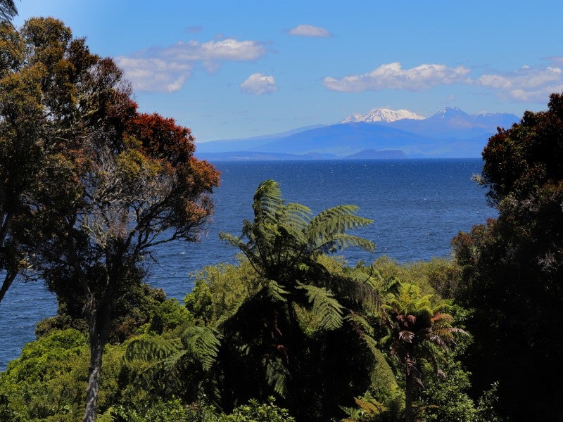 4 Whakamoenga Point, Acacia Bay, Taupo - Carousel 8