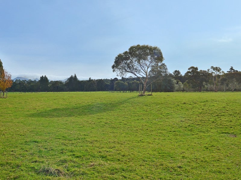 60F Skeets Road, Masterton - Carousel 2