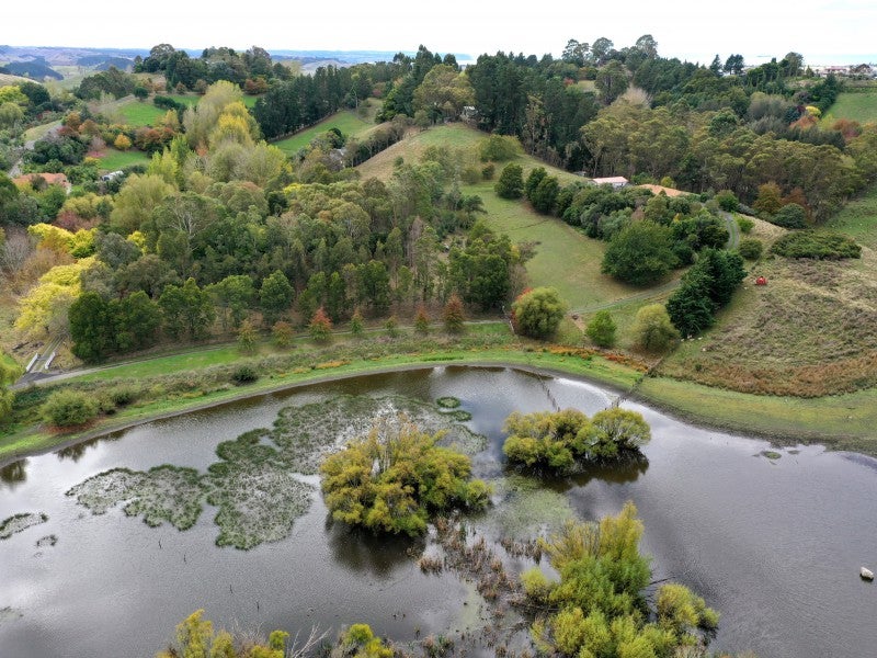 72 Rotowhenua Road, Poraiti, Napier - Carousel 26
