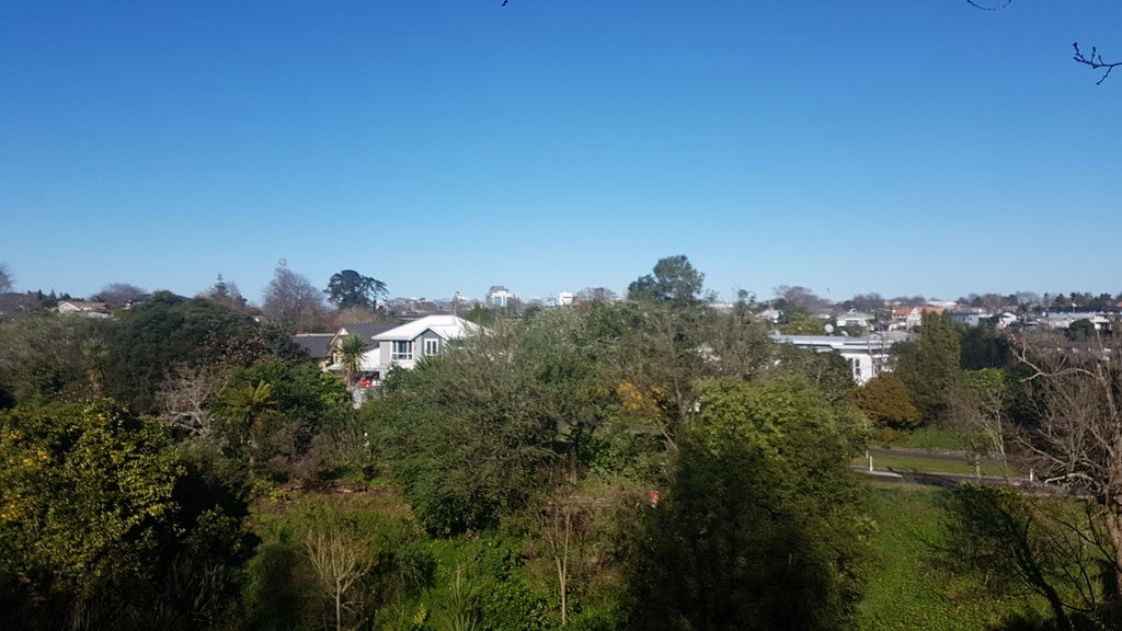 30 Riverview Terrace, Fairfield, Hamilton - Carousel 4