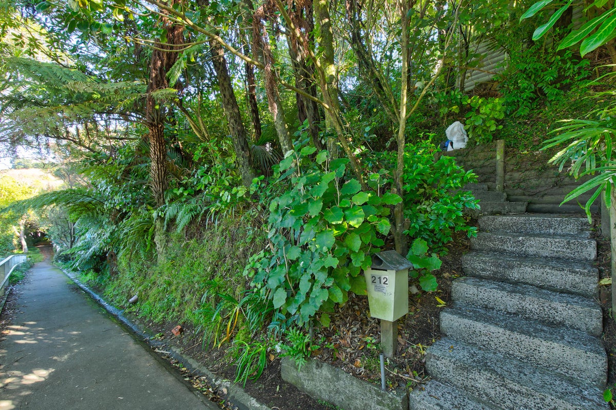 212 Ohiro Road, Brooklyn, Wellington - Carousel 18