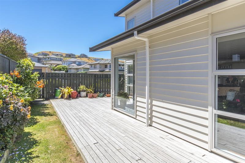 3 Cheetwood Street, Churton Park, Wellington - Carousel 28