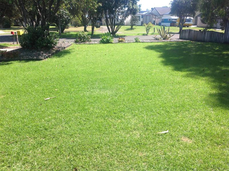 5 Te Kanawa Place, Bowentown, Katikati - Carousel 6