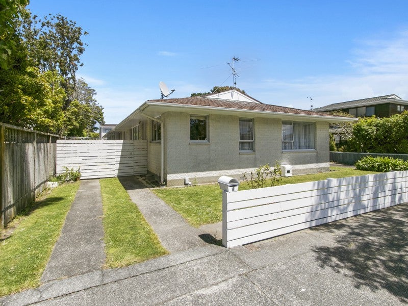 1/4 Epuni Street, Hutt Central, Lower Hutt - Carousel 17