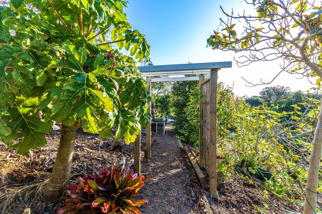 36 Hill Road, Palm Beach, Waiheke Island - Carousel 22