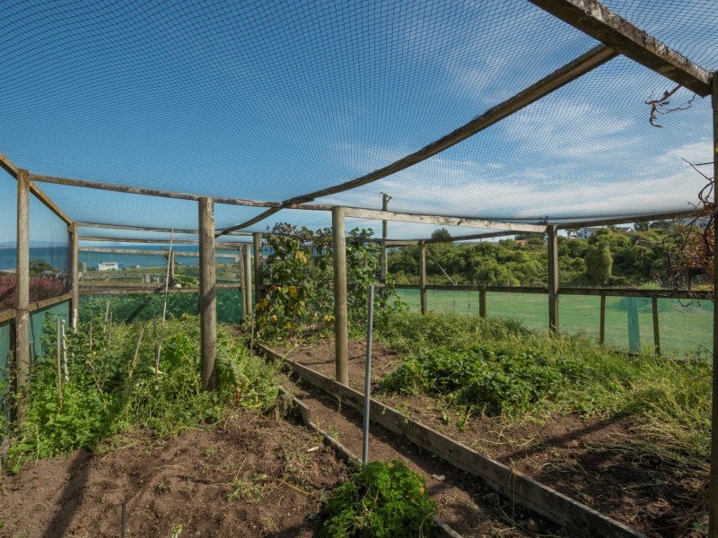 57 Town Point Road, Maketu, Te Puke - Carousel 20