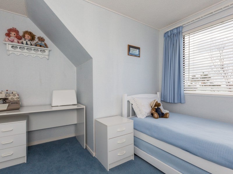 47A Avenue Road, Greenmeadows, Napier - Carousel 20