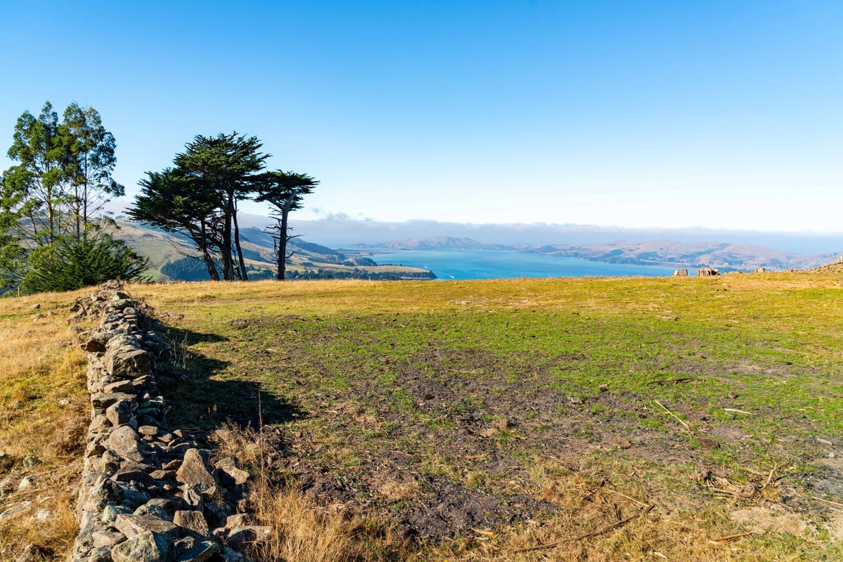 256C Blueskin Road, Careys Bay, Dunedin - Carousel 2