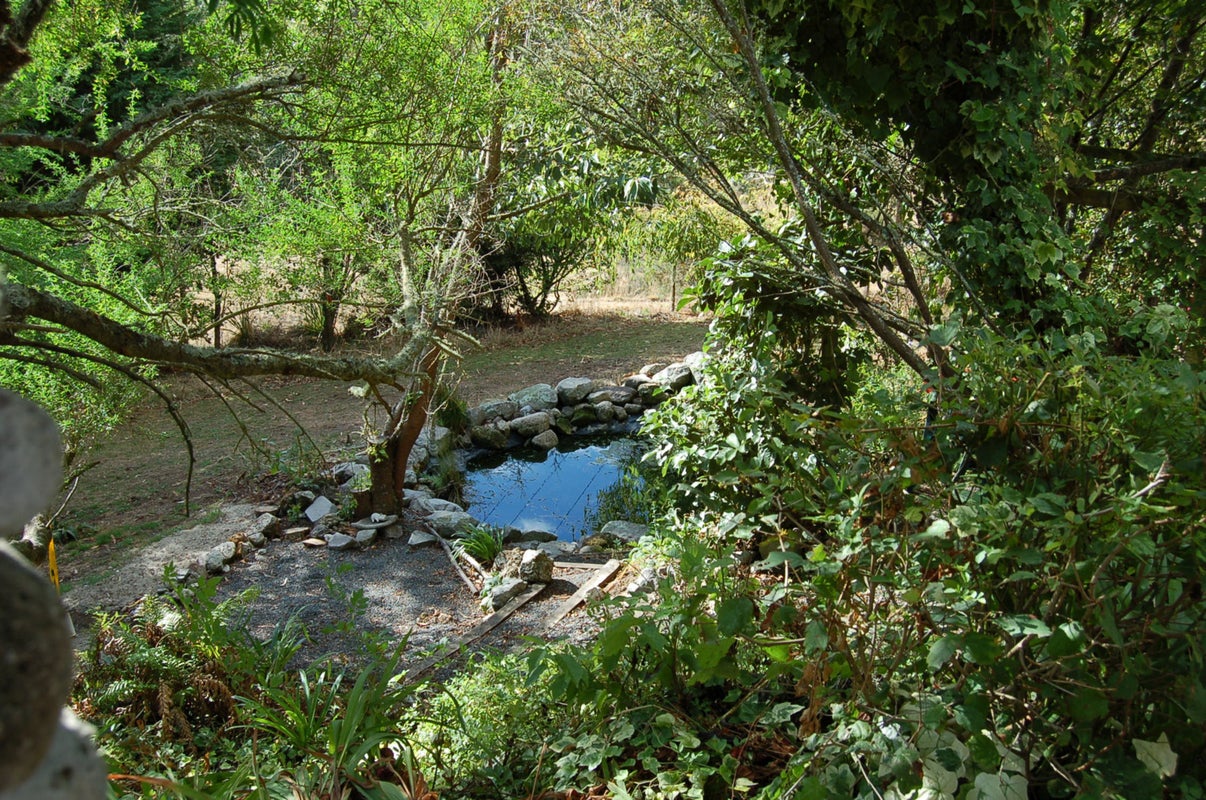 625 Palmer Mill Road, Wairakei, Taupo - Carousel 2