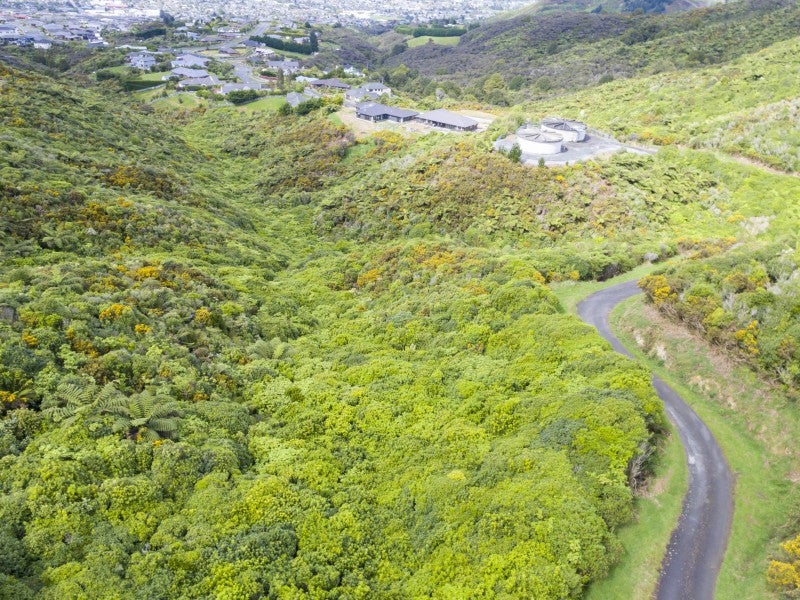 20A Grace Nicholls GR, Riverstone Terraces, UPPER HUTT - Carousel 26