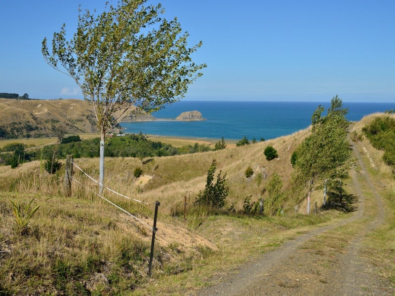 0 State Highway 2, Tangoio, Napier - Carousel 8