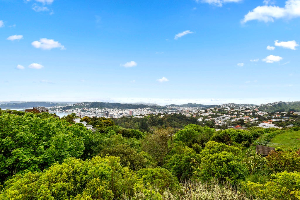 2 Puketiro Avenue, Northland, Wellington - Carousel 2