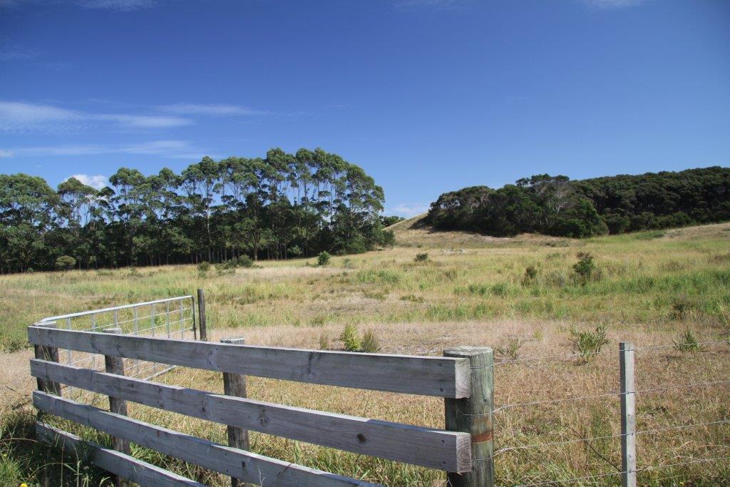 0 State Highway 1, Houhora, Pukenui - Carousel 15