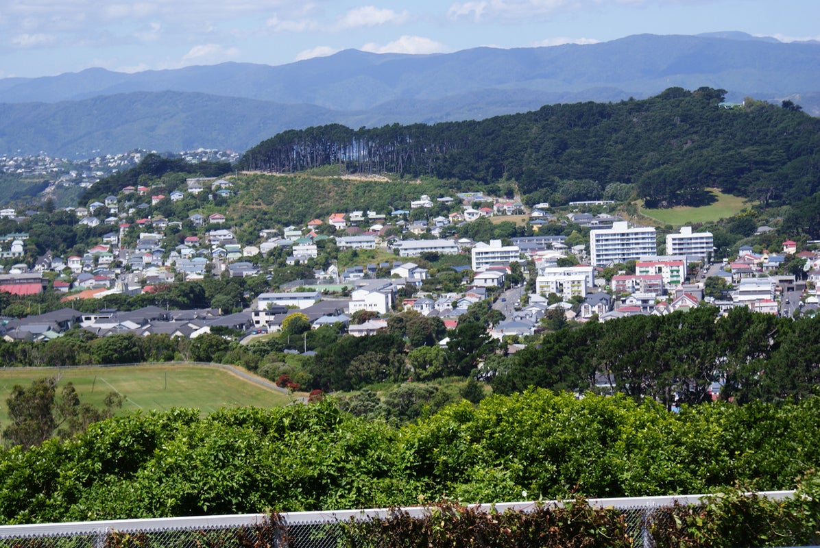 56 Farnham Street, Mornington, Wellington - Carousel 2