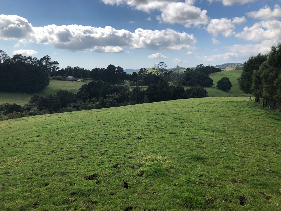 422 Hautapu Road, PAKARAKA, MOEREWA - Carousel 2