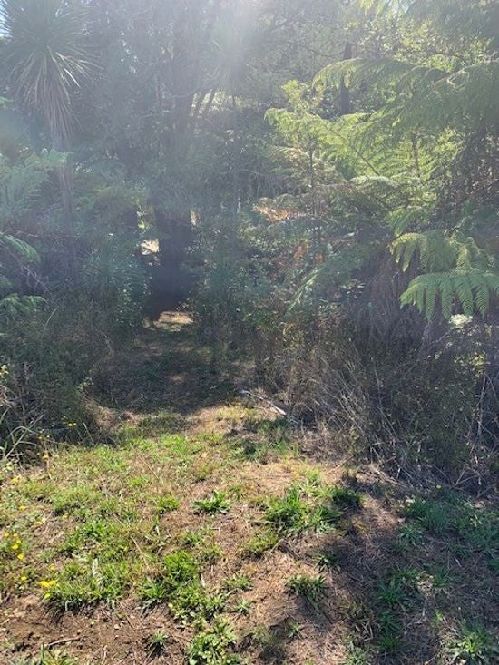 129 Bays Road, Orere Point - Carousel 2