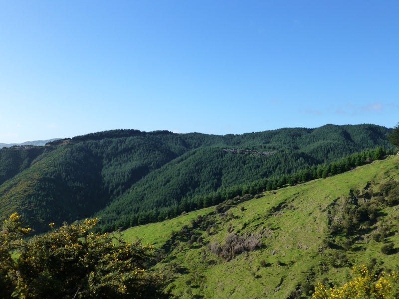 0 Ridge Road, Mangamutu, Pahiatua - Carousel 1