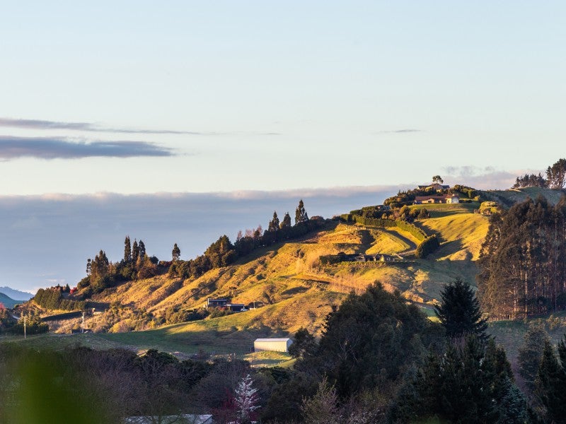 55 Ramsay Drive, Acacia Bay, Taupo - Carousel 18