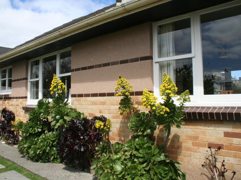 56 Marsden Street, Melling, Lower Hutt - Carousel 1