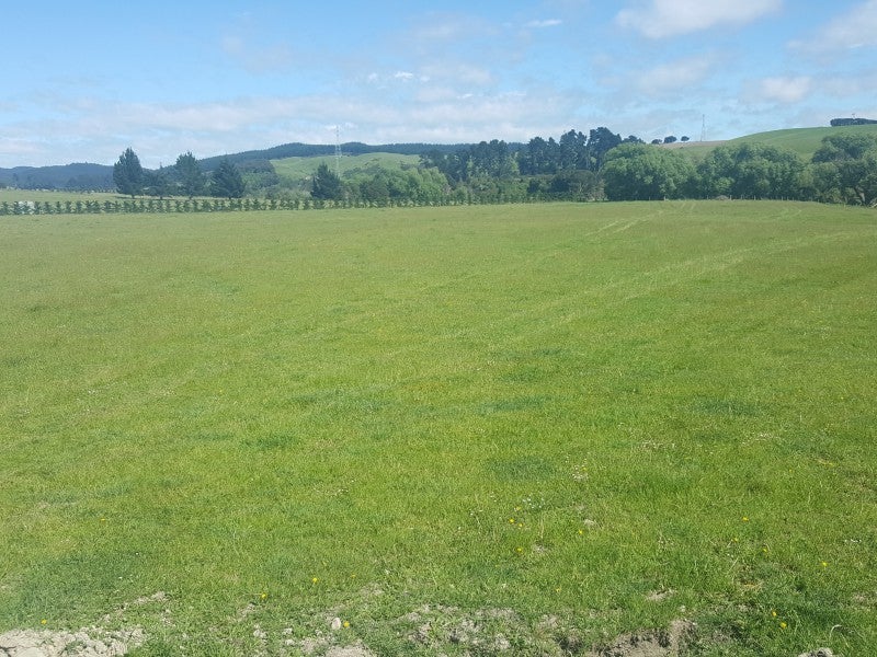 179 Mcleods Road, Sefton, Rangiora - Carousel 2