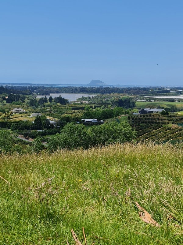 70 Whakamarama Road, Whakamarama, Tauranga - Carousel 2