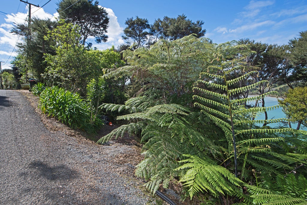 42 Albert Crescent, Ostend, Waiheke Island - Carousel 15