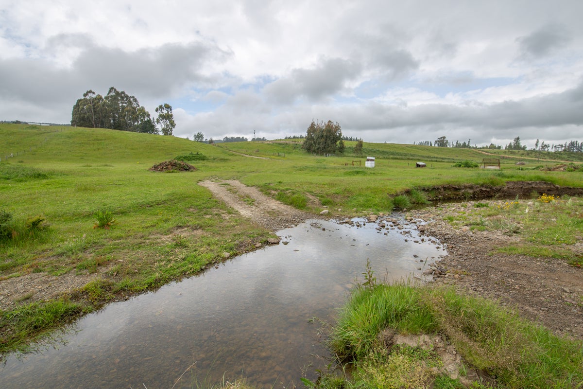 178 Loburn Kowai Road, Loburn, Rangiora - Carousel 1