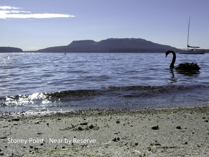194 Spencer Road, Lake Tarawera, Rotorua - Carousel 21