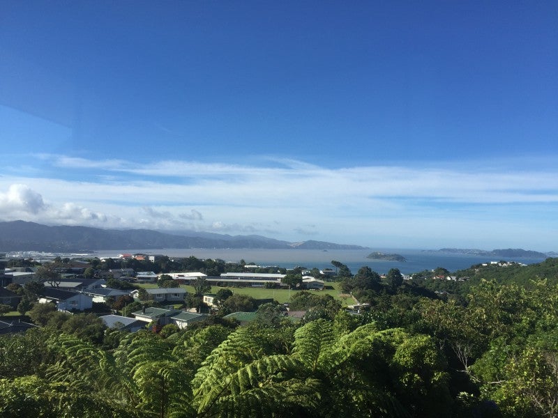 15 Laurel Grove, Maungaraki, Lower Hutt - Carousel 1