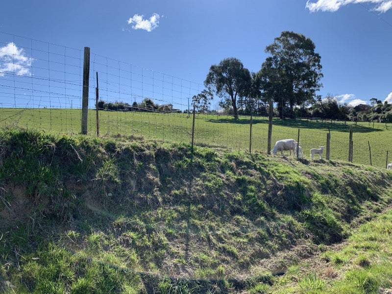 6B Gresham Street, Geraldine, Geraldine - Carousel 2